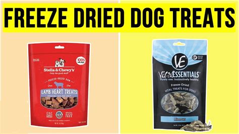 10 Best Freeze Dried Dog Food (Reviews 2020)