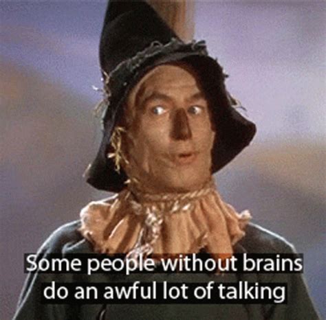 Brains Quote, I Pay, Scarecrow, Animated Gif, Cool Gifs, Amusing, Real Life, Animation, Discover