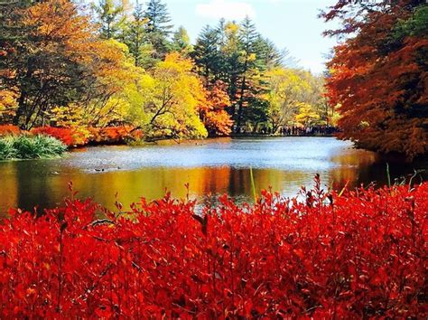 Khám phá 500+ Ảnh phong cảnh mùa thu đẹp nhất theo bình chọn của người dùng