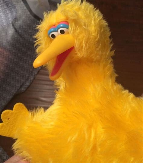 Vintage Big Bird Sesame Street 15" Plush Hasbro Softies 1986 Stuffed Doll Toy $25 FREE SHIPPING ...