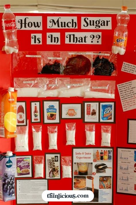 Sugar 🔬 Science Fair Project - help your kids do THIS!