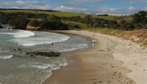 Top 10 Auckland Beaches