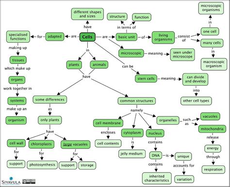 Concept Map Of Cells