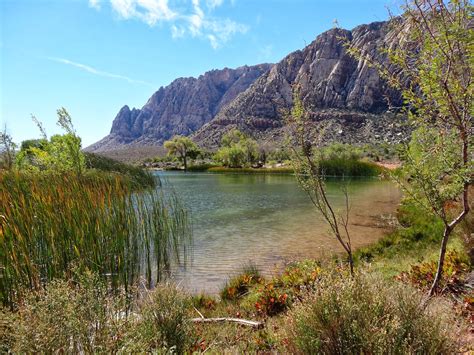 Happy in Hainesport: Spring Mountain Ranch State Park