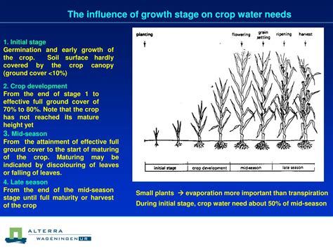 PPT - CROP IRRIGATION WATER REQUIREMENTS PowerPoint Presentation, free ...