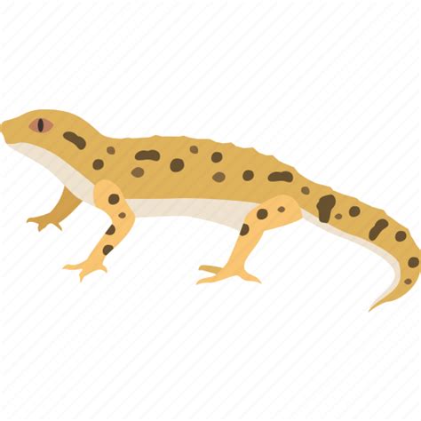 Desert, gecko, gekko, lizard, newt, reptile, skink icon - Download on Iconfinder