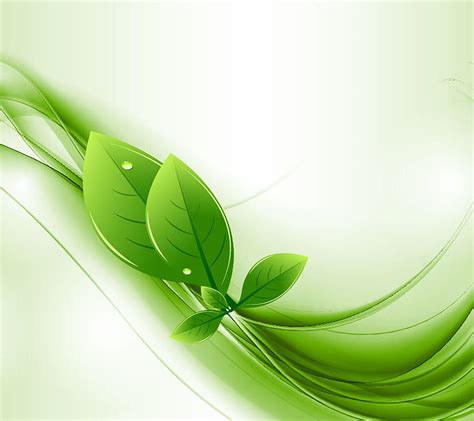 Green Leaf, HD wallpaper | Peakpx