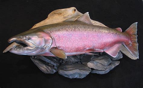 Realistic Salmon Fish Replicas Fish Mounts by fish artist Luke Filmer ...