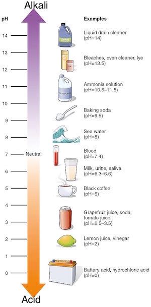 Toxicology of Acids & Alkalis: Symptoms, Treatment & Effects | Study.com