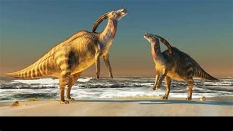 The dinosaur with a horn on it's head #3 north america parasaurolophus - YouTube