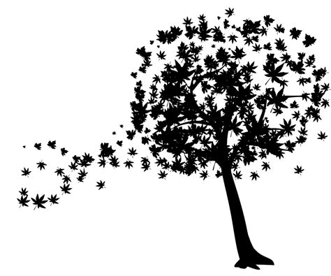SVG > 树 秋季 树叶 叶 - 免费的SVG图像和图标。 | SVG Silh