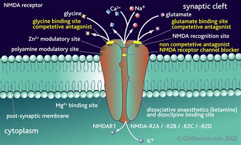 Pin on Interventional Pain Medicine