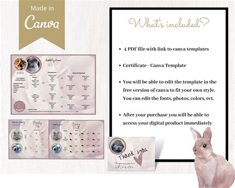 Editable Pink Rose Rabbit Breeding Plan Package & Pedigree, Rabbitry, Rabbitry Supplies, Rabbit ...