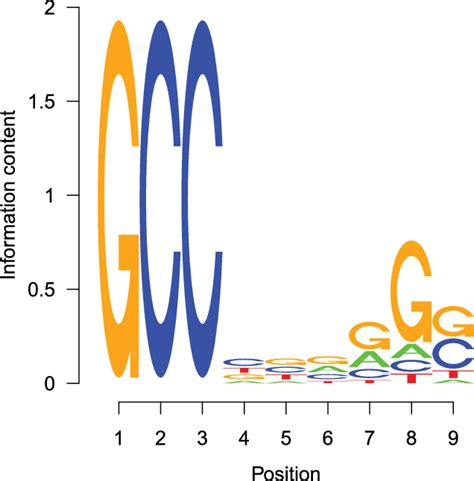 The sequence LOGO of motif ''MA0003''. | Download Scientific Diagram