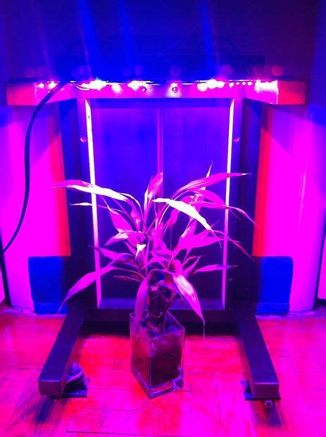 10 DIY Led Grow Lights For Growing Plants Indoors – Home And Gardening ...