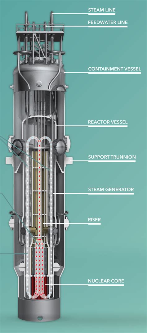 A planta copaci deget mare Evolua mini nuclear power generator ...