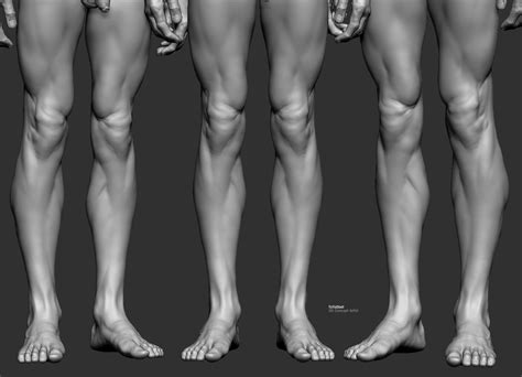 Male Leg Poses 3D Model TurboSquid 1826226 | ubicaciondepersonas.cdmx ...