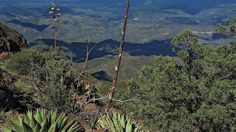 Pine Mountain Trail | Arizona Highways