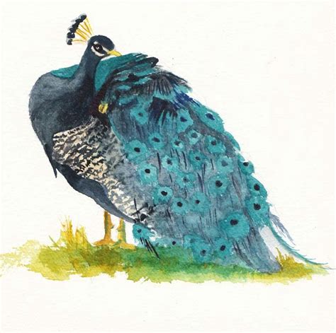 Peacock Watercolor Painting