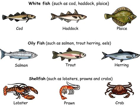 Meat, Poultry and Seafood Vocabulary | English Vocabulary | English vocabulary words, Learn ...