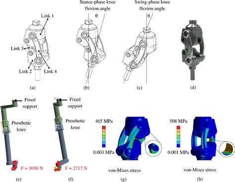 (a) The structure of 4BSF, (b) configuration of 4BSF during stance... | Download Scientific Diagram