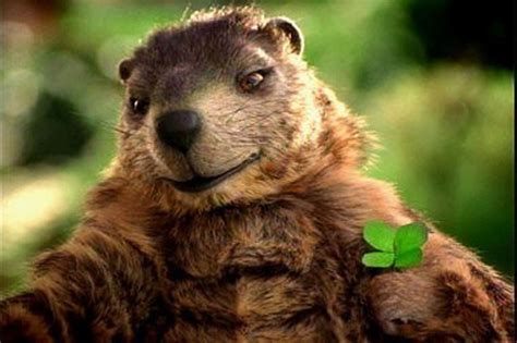 Gus, Pa.'s 'second-most famous groundhog,' is back pushing lottery ...