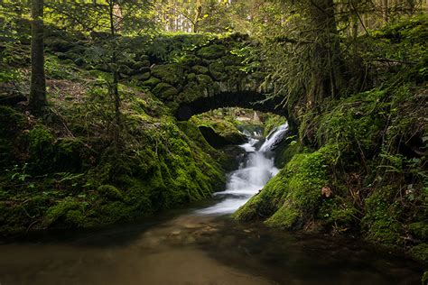 Bilder von Deutschland Black Forest Natur Bäche Brücken Laubmoose