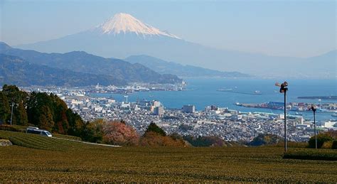 Shizuoka Travel Guide