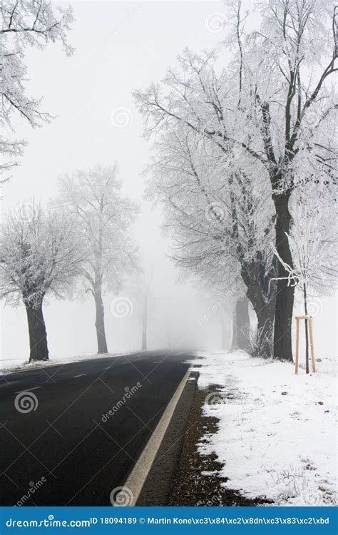 Snowy road stock image. Image of road, nature, frosty - 18094189