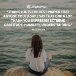 37 Gratitude Quotes to Make You Appreciate Your Life and Relationships ...