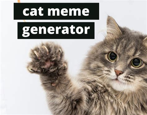 Cat Meme Generator