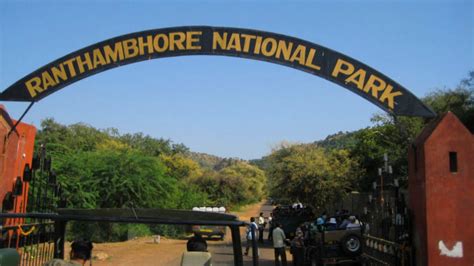 Ranthambore National Park , ranthambore, India - Top Attractions ...