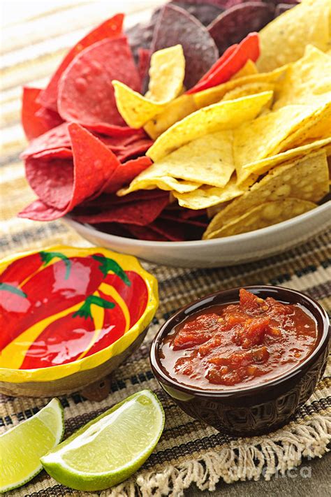 Tortilla Chips And Salsa Photograph by Elena Elisseeva