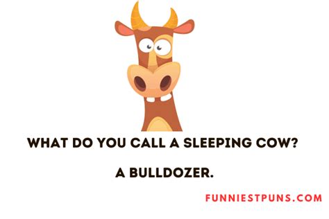 90+ Cow Puns and Jokes: Moo-ving Jokes - Funniest Puns