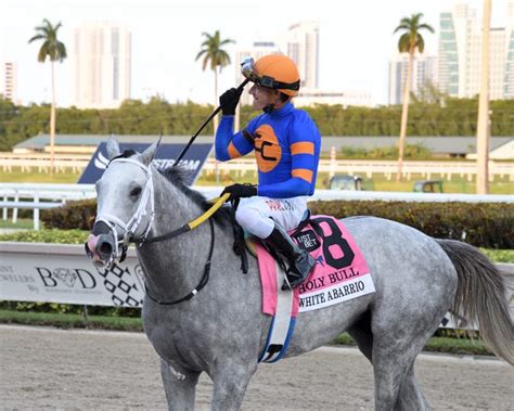 White Abarrio: Derby horse's jockey, trainer, owner, bloodline, more