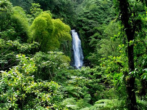 Top 10 Tourist Attractions in Nature Island Dominica - Caribbean & Co.