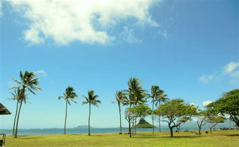 Kualoa Beach Park Oahu,Hawaii Oahu Hawaii, Enjoyment, Park, Beach, Water, Outdoor, Gripe Water ...