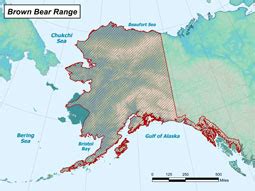 Brown Bear Species Profile, Alaska Department of Fish and Game