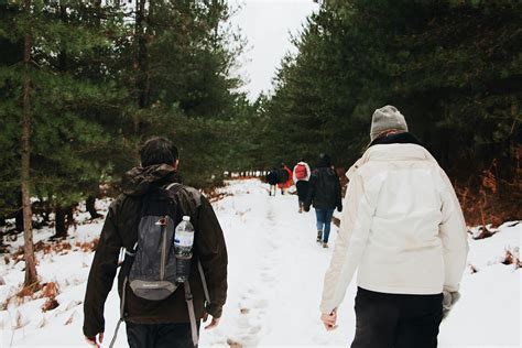 Photo Of People Walking On Snow · Free Stock Photo