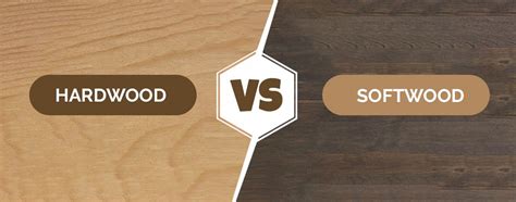 Hardwood VS Softwood: What's Best For You? 7 Differences