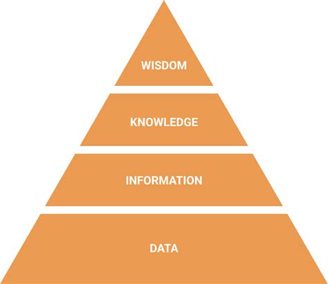 The DIKW Pyramid: From Data to Wisdom | Aly Juma