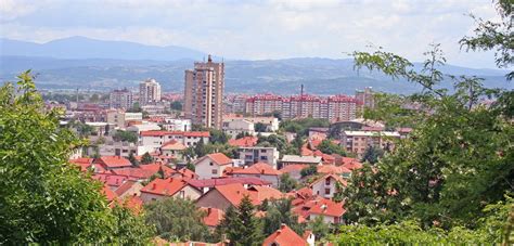 ONLINE CVEĆARA LESKOVAC - Dostava cveća Leskovac