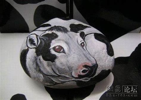 Amazing Art: Painted Animals on Stones