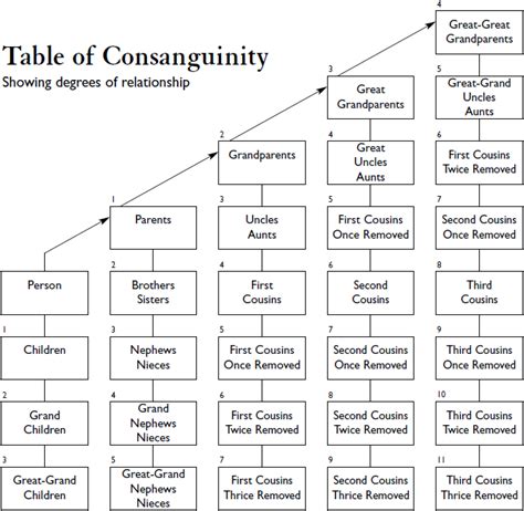 Genealogy's Star: Is there a better way to document complex familial ...