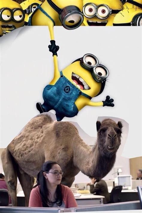 Happy Hump Day ! | Minion pictures, Minions funny, Minions cartoon