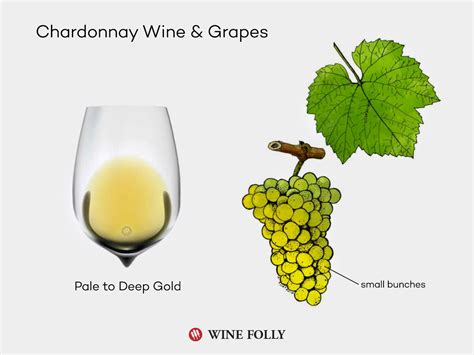 The Comprehensive Guide to Chardonnay | Wine Folly