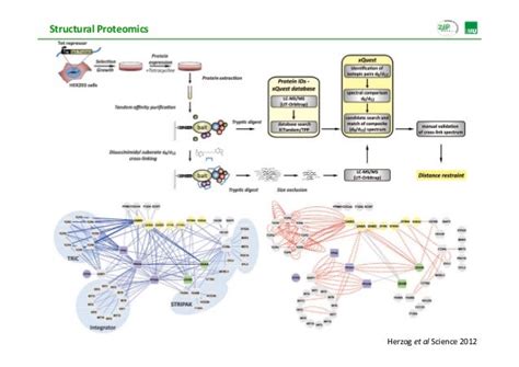 Proteomics analysis: Basics and Applications