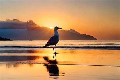 Premium AI Image | a seagull is standing on the beach at sunset.