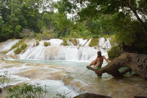 Guide to Visiting the BEST Waterfalls in Palenque (that you can't miss!)