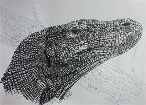 Komodo Dragon, drawn in pen, pointillism style. A3. Took MANY hours and too much patience ...